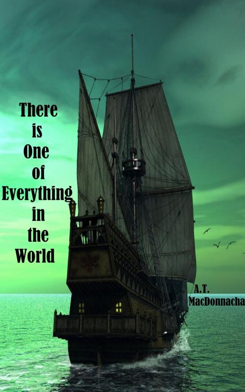 Cover of the book There is One of Everything in the World by A.T. MacDonnacha, Little Boy Blue Productions
