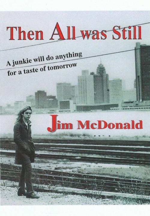 Cover of the book Then All Was Still by Jim McDonald, Jim McDonald