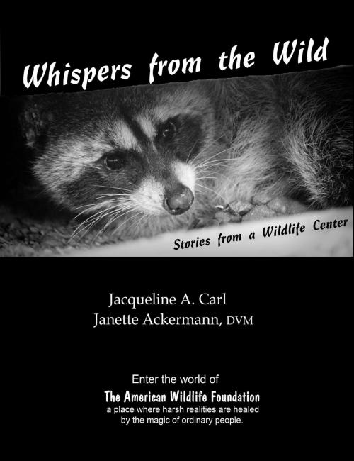 Cover of the book Whispers from the Wild by Jacqueline Carl, Jacqueline Carl
