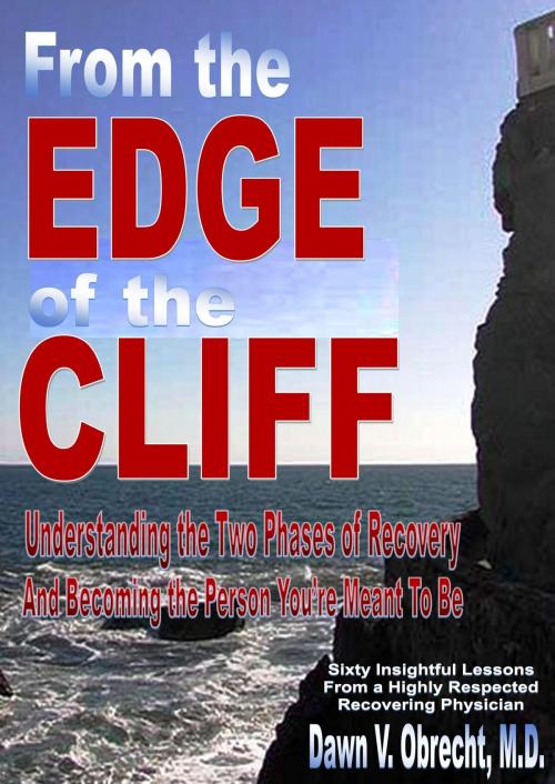 Cover of the book From the Edge of the Cliff:Understanding the Two Phases of Recovery And Becoming the Person You’re Meant To Be by Dawn V. Obrecht, M.D, Richer Life, LLC DBA RICHER Press