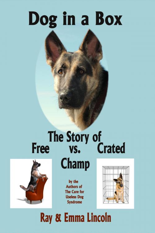 Cover of the book Dog in a Box: The Story of Free vs. Crated Champ by Emma Lincoln, Emma Lincoln