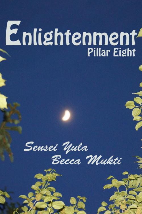 Cover of the book Enlightenment: Pillar Eight by Sensei Yula, Sensei Yula