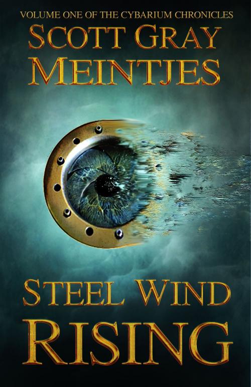 Cover of the book Steel Wind Rising by Scott Meintjes, Rutherford-Leigh Publishing