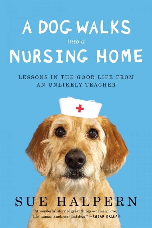 Cover of the book A Dog Walks Into a Nursing Home by Sue Halpern, Penguin Publishing Group