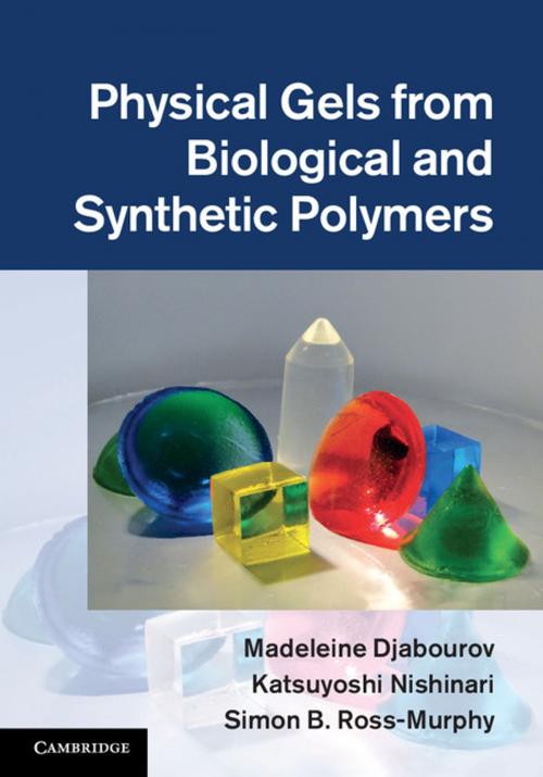 Cover of the book Physical Gels from Biological and Synthetic Polymers by Madeleine Djabourov, Katsuyoshi Nishinari, Simon B.  Ross-Murphy, Cambridge University Press