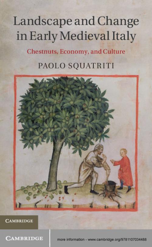 Cover of the book Landscape and Change in Early Medieval Italy by Paolo Squatriti, Cambridge University Press