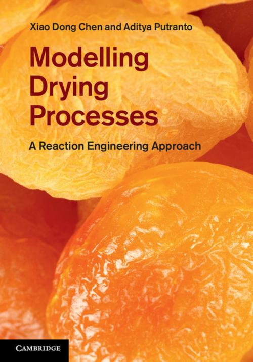 Cover of the book Modelling Drying Processes by Xiao Dong Chen, Aditya Putranto, Cambridge University Press