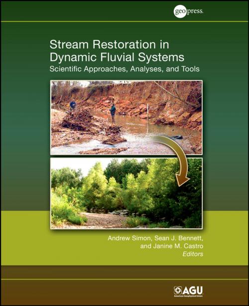 Cover of the book Stream Restoration in Dynamic Fluvial Systems by , Wiley