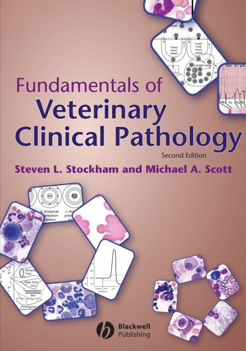Cover of the book Fundamentals of Veterinary Clinical Pathology by Steven L. Stockham, Michael A. Scott, Wiley