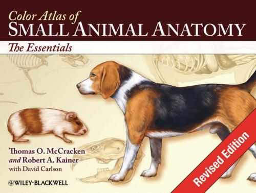 Cover of the book Color Atlas of Small Animal Anatomy by Thomas O. McCracken, Robert A. Kainer, Wiley