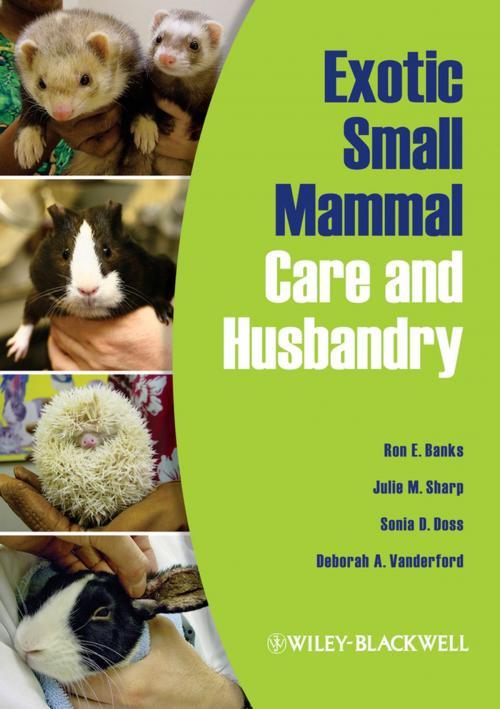 Cover of the book Exotic Small Mammal Care and Husbandry by Ron E. Banks, Julie M. Sharp, Sonia D. Doss, Deborah A. Vanderford, Wiley