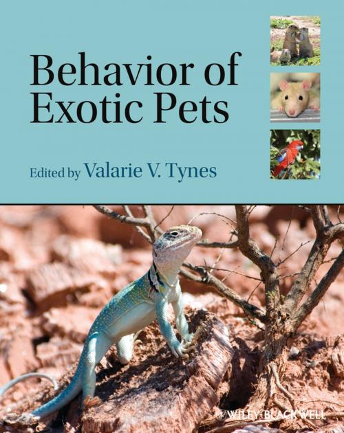 Cover of the book Behavior of Exotic Pets by , Wiley