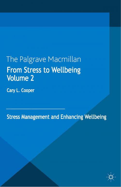 Cover of the book From Stress to Wellbeing Volume 2 by , Palgrave Macmillan UK