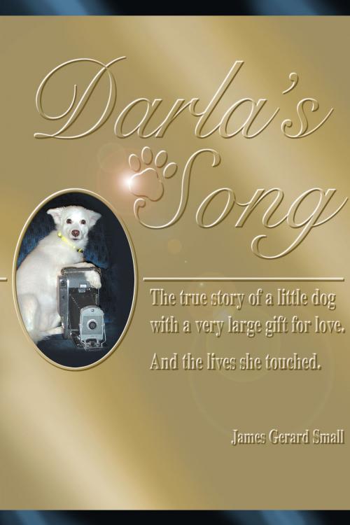 Cover of the book Darla's Song by James Gerard Small, James Gerard Small