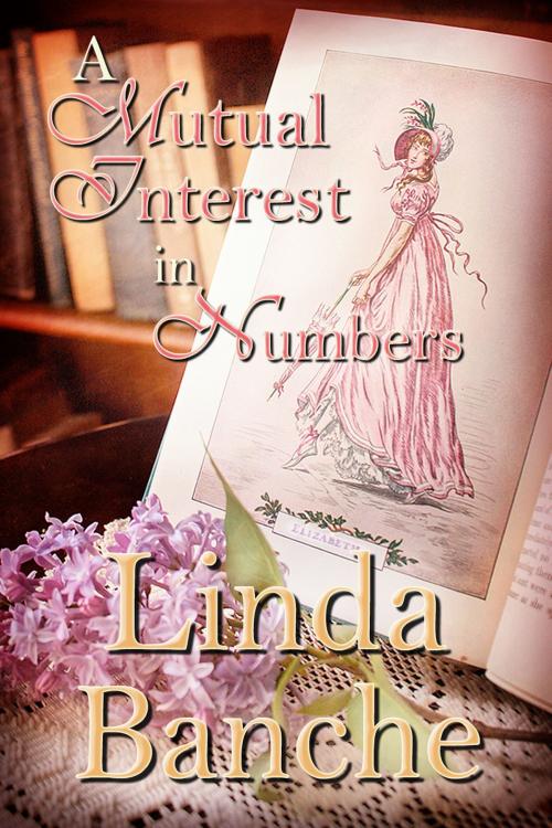 Cover of the book A Mutual Interest in Numbers by Linda Banche, Linda Banche