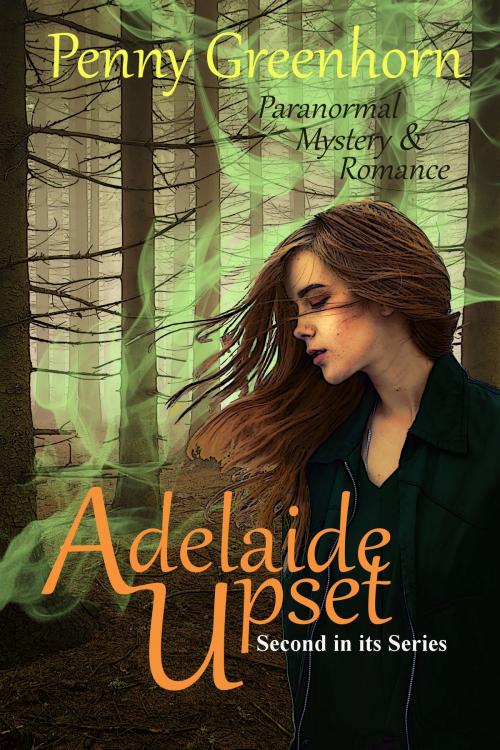Cover of the book Adelaide Upset by Penny Greenhorn, Penny Greenhorn