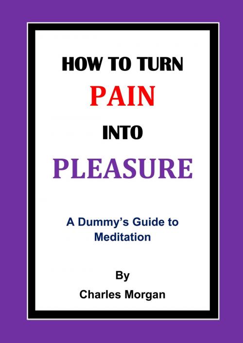 Cover of the book How To Turn Pain Into Pleasure by Charles Morgan, Charles Morgan