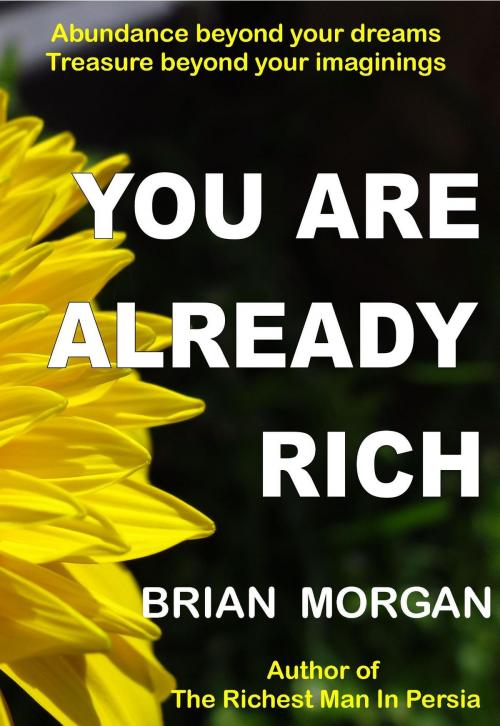 Cover of the book You Are Already Rich by Brian Morgan, Brian Morgan