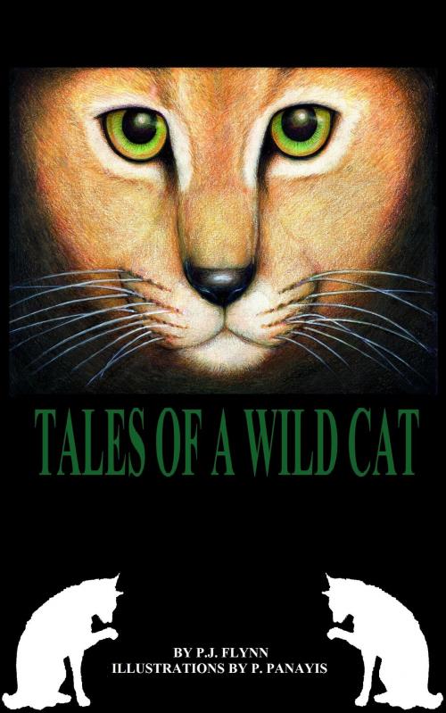 Cover of the book Tales of a Wild Cat by P.J. Flynn, P.J. Flynn