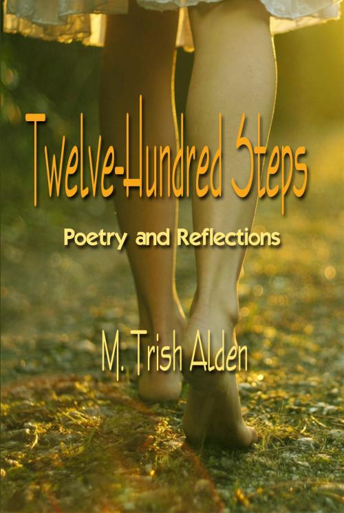Cover of the book Twelve-Hundred Steps by M. Trish Alden, R. J. Buckley Publishing