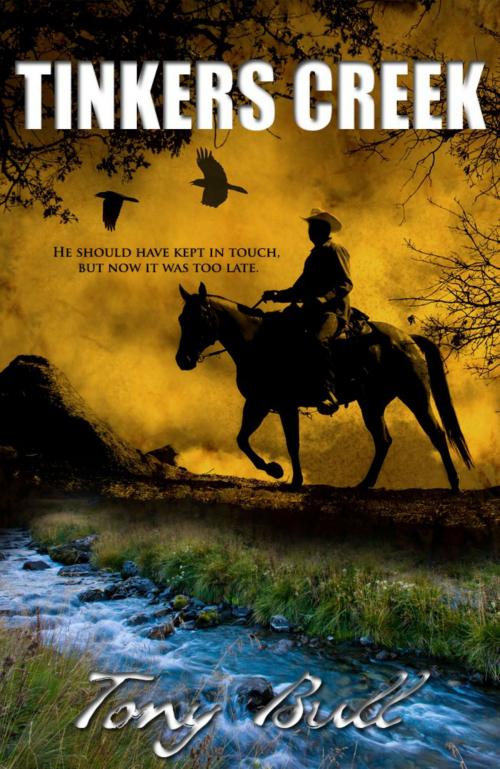 Cover of the book Tinkers Creek by Tony Bull, Tony Bull