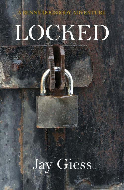 Cover of the book Locked by Jay Giess, Jay Giess