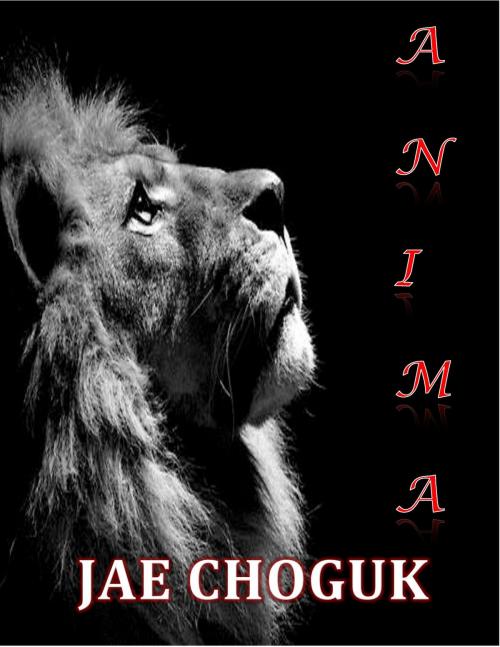 Cover of the book Anima by Jae Choguk, Jae Choguk