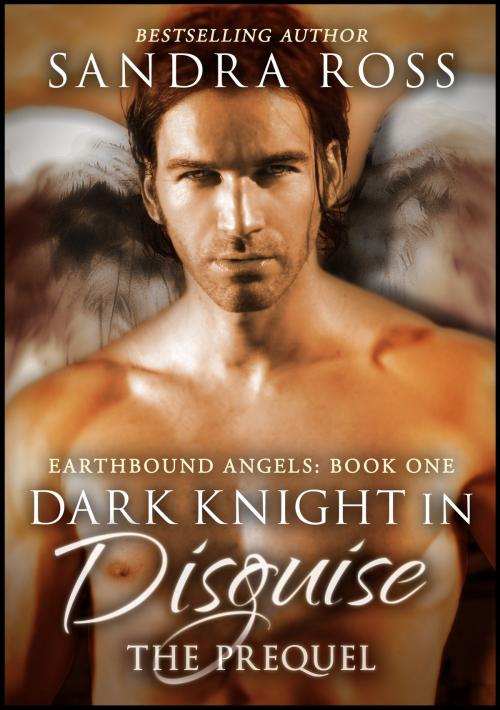 Cover of the book Dark Knight in Disguise, The Prequel by Sandra Ross, Sandra Ross