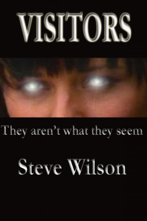 Cover of the book Visitors by Steven Patrick Wilson, Steven Patrick Wilson