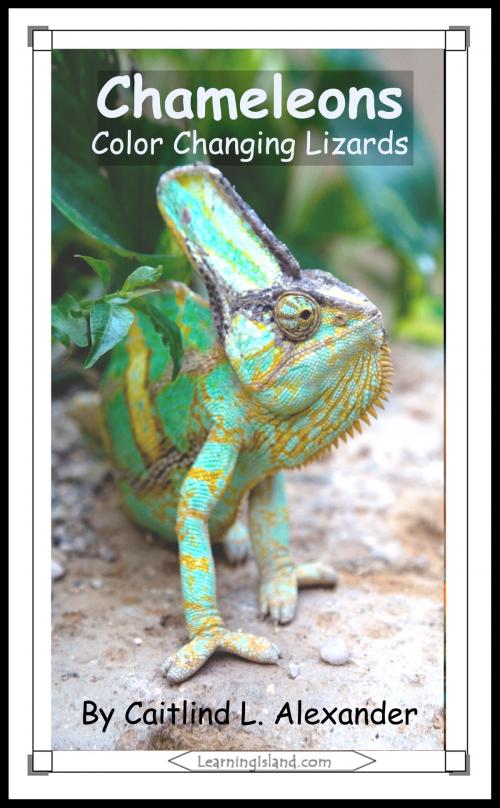 Cover of the book Chameleons: Color Changing Lizards by Caitlind L. Alexander, LearningIsland.com