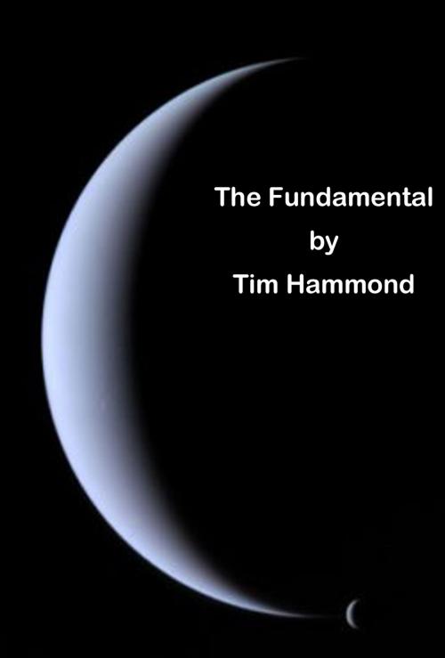 Cover of the book The Fundamental by Tim Hammond, Tim Hammond