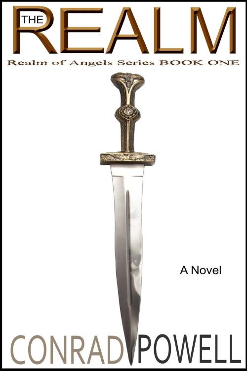 Cover of the book The Realm: A Novel (Realm of Angels Series, Book One) by Conrad Powell, Conrad Powell