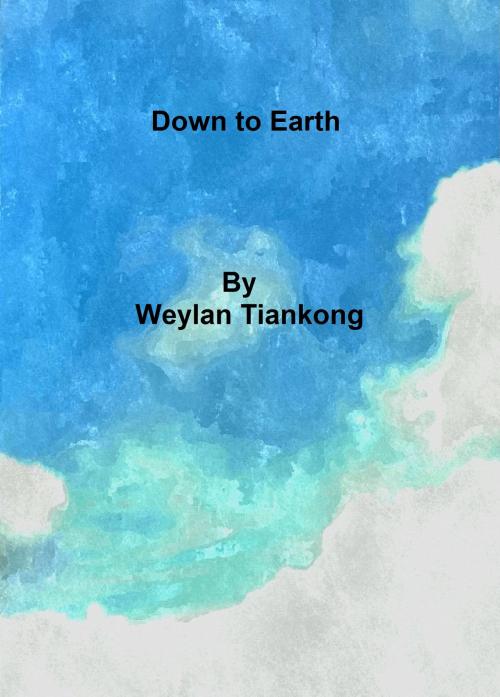 Cover of the book Down to Earth by Weylan Tiankong, Weylan Tiankong