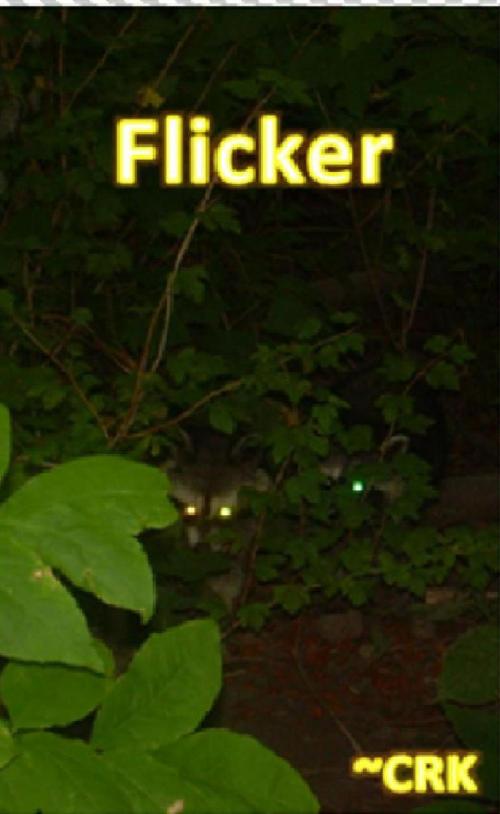 Cover of the book Flicker by ~CRK, ~CRK