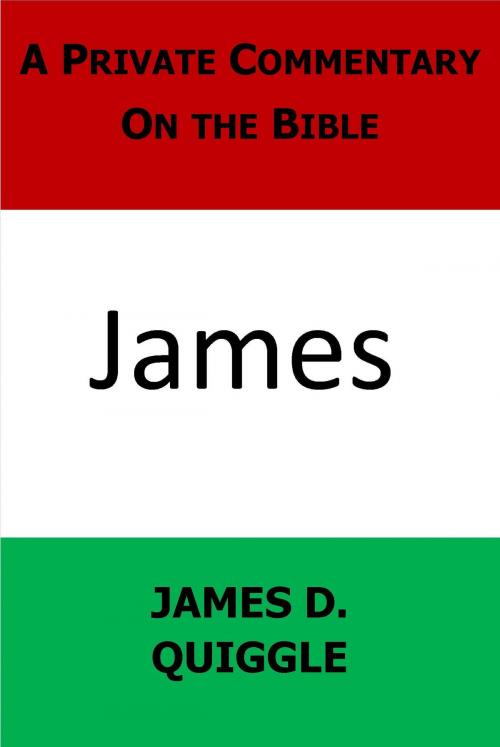 Cover of the book A Private Commentary on the Bible: James by James D. Quiggle, James D. Quiggle