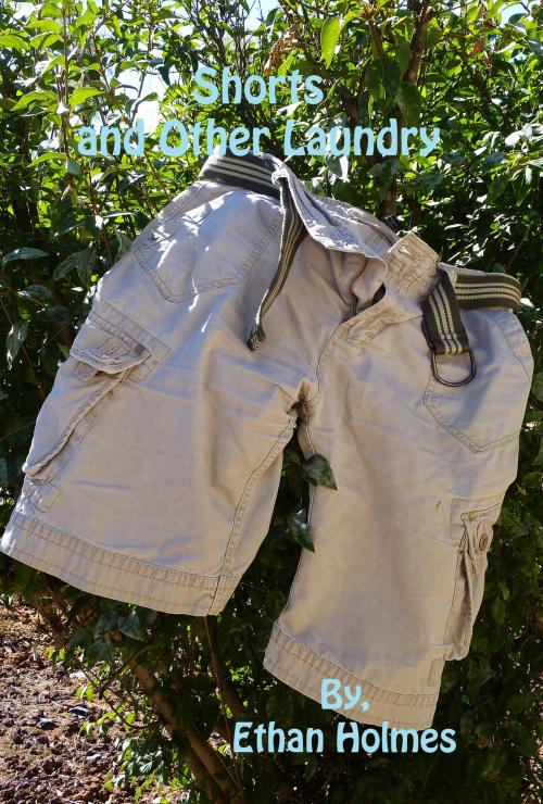 Cover of the book Shorts and Other Laundry by Ethan Holmes, Ethan Holmes