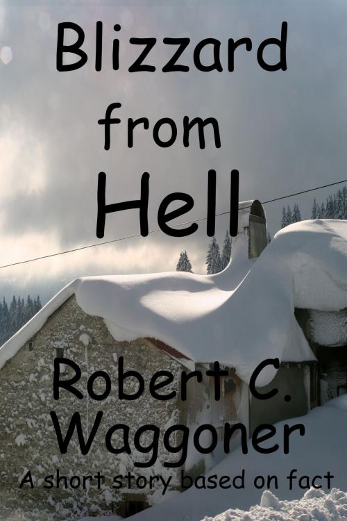 Cover of the book Blizzard from Hell by Robert C. Waggoner, Robert C. Waggoner