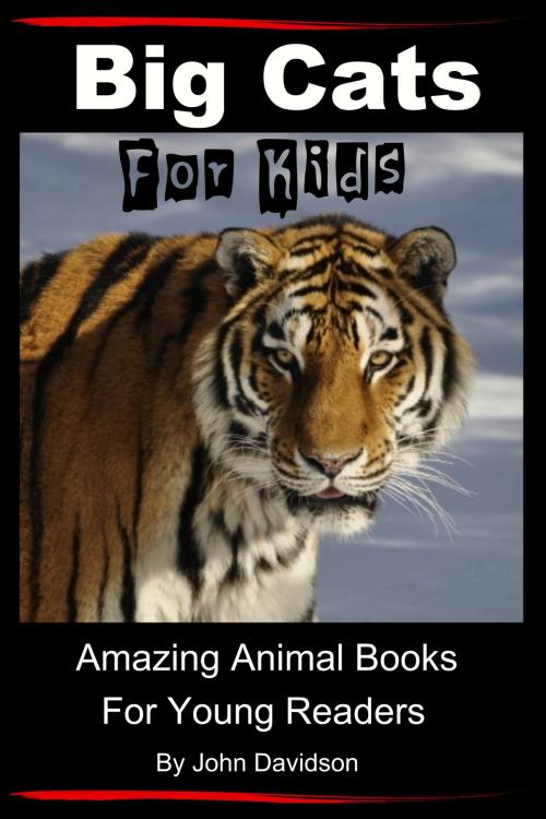Cover of the book Big Cats: For Kids - Amazing Animal Books for Young Readers by John Davidson, JD-Biz Corp Publishing