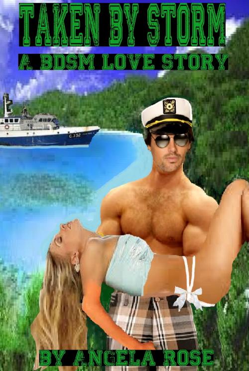 Cover of the book Taken By Storm (A BDSM Love Story) by Angela Rose, Angela Rose