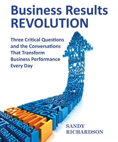 Cover of the book Business Results Revolution by Sandy Richardson, Sandy Richardson