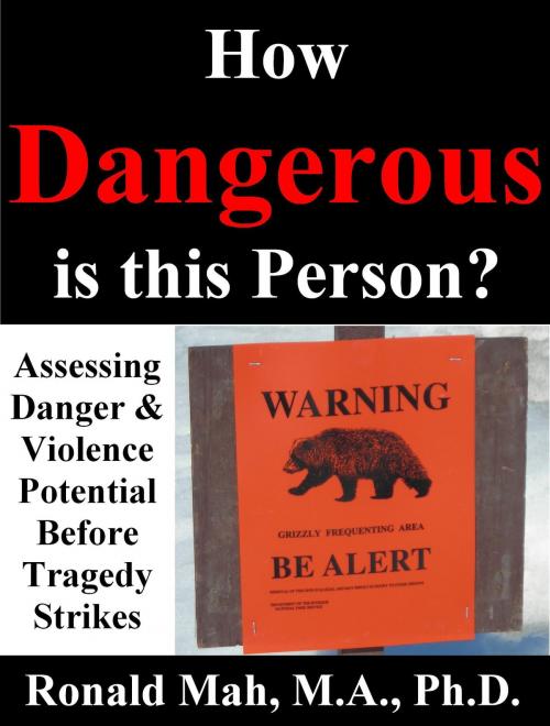 Cover of the book How Dangerous is this Person? Assessing Danger & Violence Potential Before Tragedy Strikes by Ronald Mah, Ronald Mah