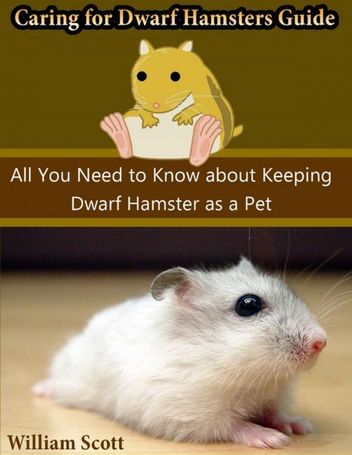Cover of the book Caring for Dwarf Hamsters Guide: All You Need to Know About Keeping Dwarf Hamster As a Pet by William Scott, Lulu.com