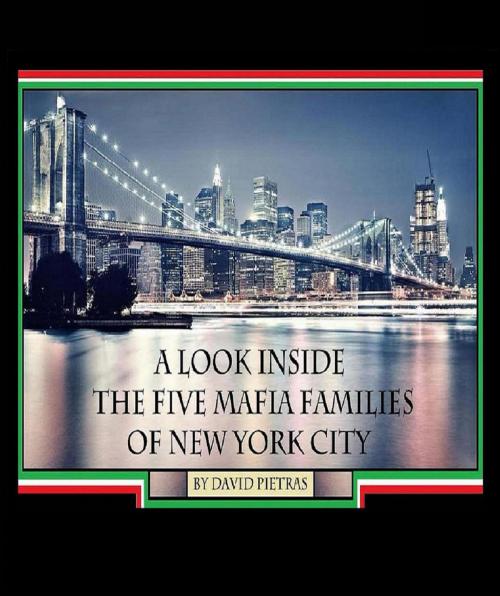 Cover of the book A Look Inside The Five Mafia Families of New York City by David Pietras, David Pietras