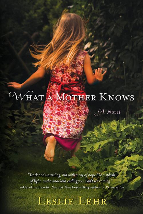 Cover of the book What a Mother Knows by Leslie Lehr, Sourcebooks