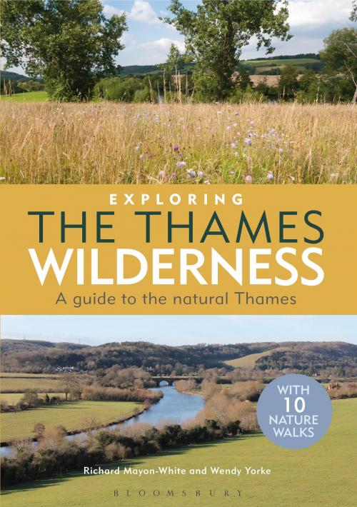 Cover of the book Exploring the Thames Wilderness by Richard Mayon-White, Wendy Yorke, Bloomsbury Publishing