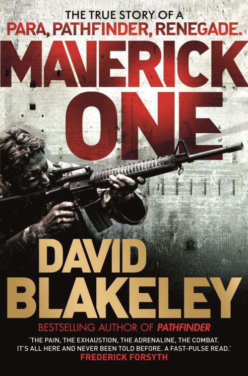 Cover of the book Maverick One by David Blakeley, Orion Publishing Group