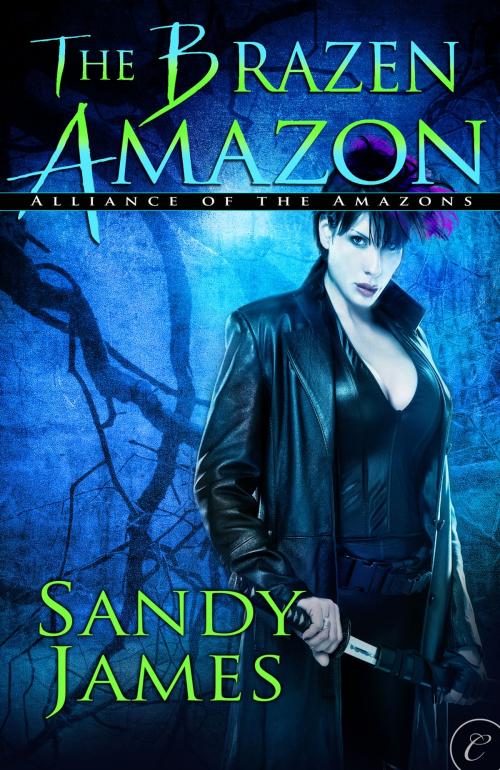 Cover of the book The Brazen Amazon by Sandy James, Carina Press