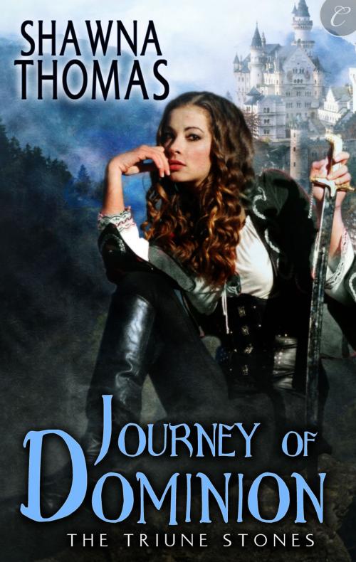 Cover of the book Journey of Dominion by Shawna Thomas, Carina Press
