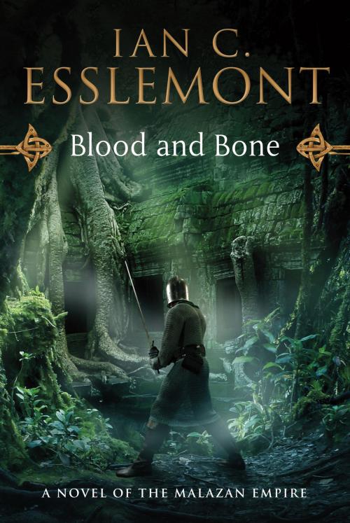 Cover of the book Blood and Bone by Ian C. Esslemont, Tom Doherty Associates