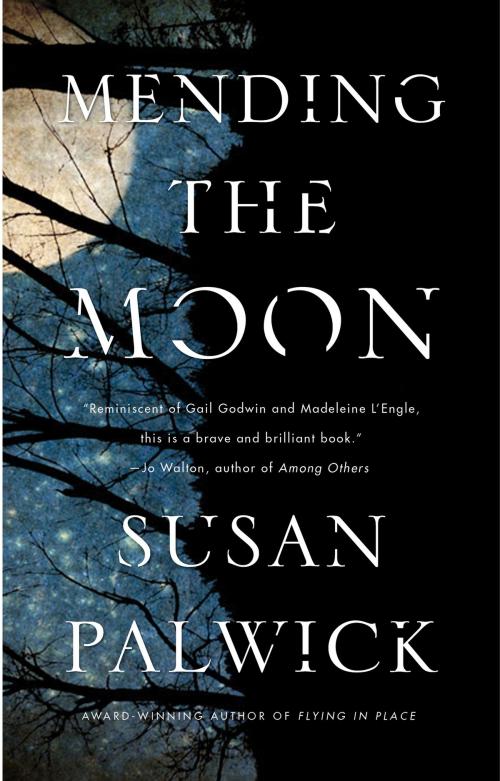 Cover of the book Mending the Moon by Susan Palwick, Tom Doherty Associates